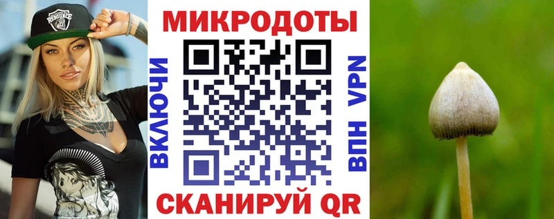 omg вход  где купить   Партизанск  Псилоцибиновые грибы Psilocybine cubensis 