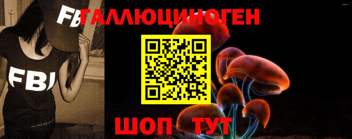 Псилоцибиновые грибы мухоморы Партизанск