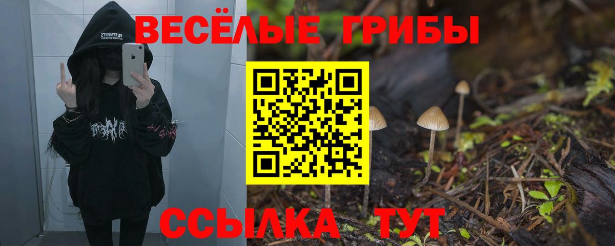 Псилоцибиновые грибы Psilocybine cubensis  Вход с VPN  Псилоцибиновые грибы ЛСД  Партизанск 